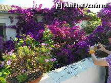 [P06]  -- <small>// FĂRĂ DESCRIERE</small> » foto by sniga
 - 
<span class="allrVoted glyphicon glyphicon-heart hidden" id="av206828"></span>
<a class="m-l-10 hidden" id="sv206828" onclick="voting_Foto_DelVot(,206828,3004)" role="button">șterge vot <span class="glyphicon glyphicon-remove"></span></a>
<a id="v9206828" class=" c-red"  onclick="voting_Foto_SetVot(206828)" role="button"><span class="glyphicon glyphicon-heart-empty"></span> <b>LIKE</b> = Votează poza</a> <img class="hidden"  id="f206828W9" src="/imagini/loader.gif" border="0" /><span class="AjErrMes hidden" id="e206828ErM"></span>