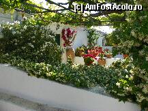 [P07] Manastirea Paleokastritsa » foto by sniga
 - 
<span class="allrVoted glyphicon glyphicon-heart hidden" id="av206835"></span>
<a class="m-l-10 hidden" id="sv206835" onclick="voting_Foto_DelVot(,206835,3004)" role="button">șterge vot <span class="glyphicon glyphicon-remove"></span></a>
<a id="v9206835" class=" c-red"  onclick="voting_Foto_SetVot(206835)" role="button"><span class="glyphicon glyphicon-heart-empty"></span> <b>LIKE</b> = Votează poza</a> <img class="hidden"  id="f206835W9" src="/imagini/loader.gif" border="0" /><span class="AjErrMes hidden" id="e206835ErM"></span>