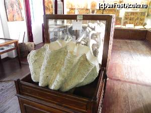 [P122] O cochilie gigant în muzeul mănăstirii.  » foto by abancor
 - 
<span class="allrVoted glyphicon glyphicon-heart hidden" id="av572184"></span>
<a class="m-l-10 hidden" id="sv572184" onclick="voting_Foto_DelVot(,572184,3004)" role="button">șterge vot <span class="glyphicon glyphicon-remove"></span></a>
<a id="v9572184" class=" c-red"  onclick="voting_Foto_SetVot(572184)" role="button"><span class="glyphicon glyphicon-heart-empty"></span> <b>LIKE</b> = Votează poza</a> <img class="hidden"  id="f572184W9" src="/imagini/loader.gif" border="0" /><span class="AjErrMes hidden" id="e572184ErM"></span>