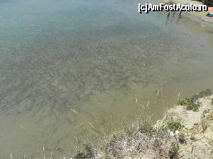 [P39] „Balta” Sidari.  » foto by abancor
 - 
<span class="allrVoted glyphicon glyphicon-heart hidden" id="av572101"></span>
<a class="m-l-10 hidden" id="sv572101" onclick="voting_Foto_DelVot(,572101,3004)" role="button">șterge vot <span class="glyphicon glyphicon-remove"></span></a>
<a id="v9572101" class=" c-red"  onclick="voting_Foto_SetVot(572101)" role="button"><span class="glyphicon glyphicon-heart-empty"></span> <b>LIKE</b> = Votează poza</a> <img class="hidden"  id="f572101W9" src="/imagini/loader.gif" border="0" /><span class="AjErrMes hidden" id="e572101ErM"></span>