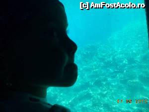 [P08] uimirea fetitei mele in submarin » foto by Denisa13
 - 
<span class="allrVoted glyphicon glyphicon-heart hidden" id="av492836"></span>
<a class="m-l-10 hidden" id="sv492836" onclick="voting_Foto_DelVot(,492836,3004)" role="button">șterge vot <span class="glyphicon glyphicon-remove"></span></a>
<a id="v9492836" class=" c-red"  onclick="voting_Foto_SetVot(492836)" role="button"><span class="glyphicon glyphicon-heart-empty"></span> <b>LIKE</b> = Votează poza</a> <img class="hidden"  id="f492836W9" src="/imagini/loader.gif" border="0" /><span class="AjErrMes hidden" id="e492836ErM"></span>