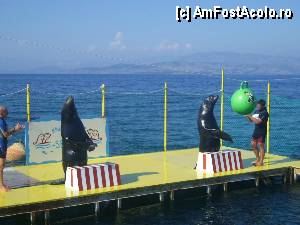 [P11] Aplauze meritate pentru executiile lor.  » foto by marius gaudi*
 - 
<span class="allrVoted glyphicon glyphicon-heart hidden" id="av361117"></span>
<a class="m-l-10 hidden" id="sv361117" onclick="voting_Foto_DelVot(,361117,3004)" role="button">șterge vot <span class="glyphicon glyphicon-remove"></span></a>
<a id="v9361117" class=" c-red"  onclick="voting_Foto_SetVot(361117)" role="button"><span class="glyphicon glyphicon-heart-empty"></span> <b>LIKE</b> = Votează poza</a> <img class="hidden"  id="f361117W9" src="/imagini/loader.gif" border="0" /><span class="AjErrMes hidden" id="e361117ErM"></span>