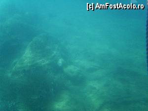 [P04] Pe fundul apei, o statueta.  » foto by marius gaudi*
 - 
<span class="allrVoted glyphicon glyphicon-heart hidden" id="av361099"></span>
<a class="m-l-10 hidden" id="sv361099" onclick="voting_Foto_DelVot(,361099,3004)" role="button">șterge vot <span class="glyphicon glyphicon-remove"></span></a>
<a id="v9361099" class=" c-red"  onclick="voting_Foto_SetVot(361099)" role="button"><span class="glyphicon glyphicon-heart-empty"></span> <b>LIKE</b> = Votează poza</a> <img class="hidden"  id="f361099W9" src="/imagini/loader.gif" border="0" /><span class="AjErrMes hidden" id="e361099ErM"></span>