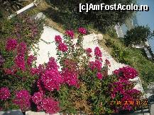 [P06] 'Florile de hartie' ce decorau treptele pana la inaltimea unde ne astepta autocarul » foto by liviadavidescu
 - 
<span class="allrVoted glyphicon glyphicon-heart hidden" id="av123530"></span>
<a class="m-l-10 hidden" id="sv123530" onclick="voting_Foto_DelVot(,123530,3004)" role="button">șterge vot <span class="glyphicon glyphicon-remove"></span></a>
<a id="v9123530" class=" c-red"  onclick="voting_Foto_SetVot(123530)" role="button"><span class="glyphicon glyphicon-heart-empty"></span> <b>LIKE</b> = Votează poza</a> <img class="hidden"  id="f123530W9" src="/imagini/loader.gif" border="0" /><span class="AjErrMes hidden" id="e123530ErM"></span>