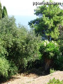 [P14] Marea vazuta in departare » foto by corinka
 - 
<span class="allrVoted glyphicon glyphicon-heart hidden" id="av117147"></span>
<a class="m-l-10 hidden" id="sv117147" onclick="voting_Foto_DelVot(,117147,3004)" role="button">șterge vot <span class="glyphicon glyphicon-remove"></span></a>
<a id="v9117147" class=" c-red"  onclick="voting_Foto_SetVot(117147)" role="button"><span class="glyphicon glyphicon-heart-empty"></span> <b>LIKE</b> = Votează poza</a> <img class="hidden"  id="f117147W9" src="/imagini/loader.gif" border="0" /><span class="AjErrMes hidden" id="e117147ErM"></span>