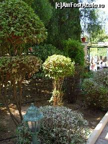 [P20] Diversi arbusti si felinare... » foto by corinka
 - 
<span class="allrVoted glyphicon glyphicon-heart hidden" id="av117153"></span>
<a class="m-l-10 hidden" id="sv117153" onclick="voting_Foto_DelVot(,117153,3004)" role="button">șterge vot <span class="glyphicon glyphicon-remove"></span></a>
<a id="v9117153" class=" c-red"  onclick="voting_Foto_SetVot(117153)" role="button"><span class="glyphicon glyphicon-heart-empty"></span> <b>LIKE</b> = Votează poza</a> <img class="hidden"  id="f117153W9" src="/imagini/loader.gif" border="0" /><span class="AjErrMes hidden" id="e117153ErM"></span>