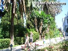 [P22] Turistii pleaca, dar raman cu amintiri frumoase. » foto by corinka
 - 
<span class="allrVoted glyphicon glyphicon-heart hidden" id="av117155"></span>
<a class="m-l-10 hidden" id="sv117155" onclick="voting_Foto_DelVot(,117155,3004)" role="button">șterge vot <span class="glyphicon glyphicon-remove"></span></a>
<a id="v9117155" class=" c-red"  onclick="voting_Foto_SetVot(117155)" role="button"><span class="glyphicon glyphicon-heart-empty"></span> <b>LIKE</b> = Votează poza</a> <img class="hidden"  id="f117155W9" src="/imagini/loader.gif" border="0" /><span class="AjErrMes hidden" id="e117155ErM"></span>