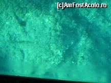 [P22] Din pacate, n-am vazut mare lucru prin fundul de sticla! » foto by corinka
 - 
<span class="allrVoted glyphicon glyphicon-heart hidden" id="av81735"></span>
<a class="m-l-10 hidden" id="sv81735" onclick="voting_Foto_DelVot(,81735,3004)" role="button">șterge vot <span class="glyphicon glyphicon-remove"></span></a>
<a id="v981735" class=" c-red"  onclick="voting_Foto_SetVot(81735)" role="button"><span class="glyphicon glyphicon-heart-empty"></span> <b>LIKE</b> = Votează poza</a> <img class="hidden"  id="f81735W9" src="/imagini/loader.gif" border="0" /><span class="AjErrMes hidden" id="e81735ErM"></span>