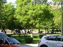 [P10] Verdeata se regaseste din plin si in Kerkyra, ca pe toata insula... » foto by corinka
 - 
<span class="allrVoted glyphicon glyphicon-heart hidden" id="av81773"></span>
<a class="m-l-10 hidden" id="sv81773" onclick="voting_Foto_DelVot(,81773,3004)" role="button">șterge vot <span class="glyphicon glyphicon-remove"></span></a>
<a id="v981773" class=" c-red"  onclick="voting_Foto_SetVot(81773)" role="button"><span class="glyphicon glyphicon-heart-empty"></span> <b>LIKE</b> = Votează poza</a> <img class="hidden"  id="f81773W9" src="/imagini/loader.gif" border="0" /><span class="AjErrMes hidden" id="e81773ErM"></span>