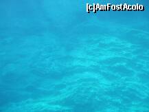 [P13] o privire din Submarin » foto by AndreeaSava*
 - 
<span class="allrVoted glyphicon glyphicon-heart hidden" id="av124134"></span>
<a class="m-l-10 hidden" id="sv124134" onclick="voting_Foto_DelVot(,124134,3004)" role="button">șterge vot <span class="glyphicon glyphicon-remove"></span></a>
<a id="v9124134" class=" c-red"  onclick="voting_Foto_SetVot(124134)" role="button"><span class="glyphicon glyphicon-heart-empty"></span> <b>LIKE</b> = Votează poza</a> <img class="hidden"  id="f124134W9" src="/imagini/loader.gif" border="0" /><span class="AjErrMes hidden" id="e124134ErM"></span>