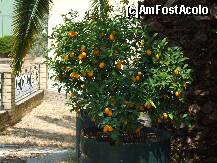 [P03]  -- <small>// FĂRĂ DESCRIERE</small> » foto by AndreeaSava*
 - 
<span class="allrVoted glyphicon glyphicon-heart hidden" id="av124097"></span>
<a class="m-l-10 hidden" id="sv124097" onclick="voting_Foto_DelVot(,124097,3004)" role="button">șterge vot <span class="glyphicon glyphicon-remove"></span></a>
<a id="v9124097" class=" c-red"  onclick="voting_Foto_SetVot(124097)" role="button"><span class="glyphicon glyphicon-heart-empty"></span> <b>LIKE</b> = Votează poza</a> <img class="hidden"  id="f124097W9" src="/imagini/loader.gif" border="0" /><span class="AjErrMes hidden" id="e124097ErM"></span>