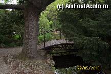 [P38] Coltisor de liniste pe insula Margareta » foto by Alina53
 - 
<span class="allrVoted glyphicon glyphicon-heart hidden" id="av73088"></span>
<a class="m-l-10 hidden" id="sv73088" onclick="voting_Foto_DelVot(,73088,3008)" role="button">șterge vot <span class="glyphicon glyphicon-remove"></span></a>
<a id="v973088" class=" c-red"  onclick="voting_Foto_SetVot(73088)" role="button"><span class="glyphicon glyphicon-heart-empty"></span> <b>LIKE</b> = Votează poza</a> <img class="hidden"  id="f73088W9" src="/imagini/loader.gif" border="0" /><span class="AjErrMes hidden" id="e73088ErM"></span>