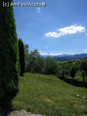 [P03] in curte » foto by bianca17
 - 
<span class="allrVoted glyphicon glyphicon-heart hidden" id="av778255"></span>
<a class="m-l-10 hidden" id="sv778255" onclick="voting_Foto_DelVot(,778255,3010)" role="button">șterge vot <span class="glyphicon glyphicon-remove"></span></a>
<a id="v9778255" class=" c-red"  onclick="voting_Foto_SetVot(778255)" role="button"><span class="glyphicon glyphicon-heart-empty"></span> <b>LIKE</b> = Votează poza</a> <img class="hidden"  id="f778255W9" src="/imagini/loader.gif" border="0" /><span class="AjErrMes hidden" id="e778255ErM"></span>