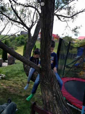 [P05] in curte » foto by bianca17
 - 
<span class="allrVoted glyphicon glyphicon-heart hidden" id="av778257"></span>
<a class="m-l-10 hidden" id="sv778257" onclick="voting_Foto_DelVot(,778257,3010)" role="button">șterge vot <span class="glyphicon glyphicon-remove"></span></a>
<a id="v9778257" class=" c-red"  onclick="voting_Foto_SetVot(778257)" role="button"><span class="glyphicon glyphicon-heart-empty"></span> <b>LIKE</b> = Votează poza</a> <img class="hidden"  id="f778257W9" src="/imagini/loader.gif" border="0" /><span class="AjErrMes hidden" id="e778257ErM"></span>