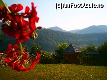 [P06]  -- <small>// FĂRĂ DESCRIERE</small> » foto by alinna
 - 
<span class="allrVoted glyphicon glyphicon-heart hidden" id="av359670"></span>
<a class="m-l-10 hidden" id="sv359670" onclick="voting_Foto_DelVot(,359670,3016)" role="button">șterge vot <span class="glyphicon glyphicon-remove"></span></a>
<a id="v9359670" class=" c-red"  onclick="voting_Foto_SetVot(359670)" role="button"><span class="glyphicon glyphicon-heart-empty"></span> <b>LIKE</b> = Votează poza</a> <img class="hidden"  id="f359670W9" src="/imagini/loader.gif" border="0" /><span class="AjErrMes hidden" id="e359670ErM"></span>