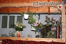 [P16] ghidati de miresme...am ajuns in foisor » foto by mirelab
 - 
<span class="allrVoted glyphicon glyphicon-heart hidden" id="av16216"></span>
<a class="m-l-10 hidden" id="sv16216" onclick="voting_Foto_DelVot(,16216,3016)" role="button">șterge vot <span class="glyphicon glyphicon-remove"></span></a>
<a id="v916216" class=" c-red"  onclick="voting_Foto_SetVot(16216)" role="button"><span class="glyphicon glyphicon-heart-empty"></span> <b>LIKE</b> = Votează poza</a> <img class="hidden"  id="f16216W9" src="/imagini/loader.gif" border="0" /><span class="AjErrMes hidden" id="e16216ErM"></span>