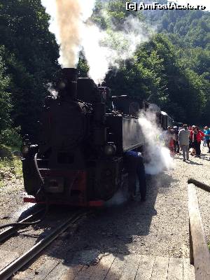 [P07] Cu mocănița » foto by Cristia Mihai
 - 
<span class="allrVoted glyphicon glyphicon-heart hidden" id="av535979"></span>
<a class="m-l-10 hidden" id="sv535979" onclick="voting_Foto_DelVot(,535979,3016)" role="button">șterge vot <span class="glyphicon glyphicon-remove"></span></a>
<a id="v9535979" class=" c-red"  onclick="voting_Foto_SetVot(535979)" role="button"><span class="glyphicon glyphicon-heart-empty"></span> <b>LIKE</b> = Votează poza</a> <img class="hidden"  id="f535979W9" src="/imagini/loader.gif" border="0" /><span class="AjErrMes hidden" id="e535979ErM"></span>
