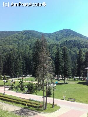 [P11]  -- <small>// FĂRĂ DESCRIERE</small> » foto by parvur22
 - 
<span class="allrVoted glyphicon glyphicon-heart hidden" id="av1004708"></span>
<a class="m-l-10 hidden" id="sv1004708" onclick="voting_Foto_DelVot(,1004708,3017)" role="button">șterge vot <span class="glyphicon glyphicon-remove"></span></a>
<a id="v91004708" class=" c-red"  onclick="voting_Foto_SetVot(1004708)" role="button"><span class="glyphicon glyphicon-heart-empty"></span> <b>LIKE</b> = Votează poza</a> <img class="hidden"  id="f1004708W9" src="/imagini/loader.gif" border="0" /><span class="AjErrMes hidden" id="e1004708ErM"></span>
