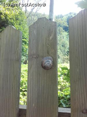[P07]  -- <small>// FĂRĂ DESCRIERE</small> » foto by parvur22
 - 
<span class="allrVoted glyphicon glyphicon-heart hidden" id="av1004704"></span>
<a class="m-l-10 hidden" id="sv1004704" onclick="voting_Foto_DelVot(,1004704,3017)" role="button">șterge vot <span class="glyphicon glyphicon-remove"></span></a>
<a id="v91004704" class=" c-red"  onclick="voting_Foto_SetVot(1004704)" role="button"><span class="glyphicon glyphicon-heart-empty"></span> <b>LIKE</b> = Votează poza</a> <img class="hidden"  id="f1004704W9" src="/imagini/loader.gif" border="0" /><span class="AjErrMes hidden" id="e1004704ErM"></span>