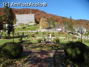 [P19] Tot prin parc dar pe la umbră » foto by Kavarnap
 - 
<span class="allrVoted glyphicon glyphicon-heart hidden" id="av1311103"></span>
<a class="m-l-10 hidden" id="sv1311103" onclick="voting_Foto_DelVot(,1311103,3017)" role="button">șterge vot <span class="glyphicon glyphicon-remove"></span></a>
<a id="v91311103" class=" c-red"  onclick="voting_Foto_SetVot(1311103)" role="button"><span class="glyphicon glyphicon-heart-empty"></span> <b>LIKE</b> = Votează poza</a> <img class="hidden"  id="f1311103W9" src="/imagini/loader.gif" border="0" /><span class="AjErrMes hidden" id="e1311103ErM"></span>