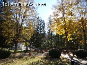[P20] Singuri prin parc » foto by Kavarnap
 - 
<span class="allrVoted glyphicon glyphicon-heart hidden" id="av1311104"></span>
<a class="m-l-10 hidden" id="sv1311104" onclick="voting_Foto_DelVot(,1311104,3017)" role="button">șterge vot <span class="glyphicon glyphicon-remove"></span></a>
<a id="v91311104" class=" c-red"  onclick="voting_Foto_SetVot(1311104)" role="button"><span class="glyphicon glyphicon-heart-empty"></span> <b>LIKE</b> = Votează poza</a> <img class="hidden"  id="f1311104W9" src="/imagini/loader.gif" border="0" /><span class="AjErrMes hidden" id="e1311104ErM"></span>