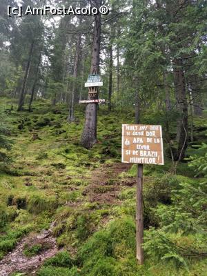 [P29] Transursoia<p> primul izvor de dupa lacul Belis, Unul dintre cele 12 izvoare, frumos amenajat » foto by Dana2008
 - 
<span class="allrVoted glyphicon glyphicon-heart hidden" id="av1014335"></span>
<a class="m-l-10 hidden" id="sv1014335" onclick="voting_Foto_DelVot(,1014335,3018)" role="button">șterge vot <span class="glyphicon glyphicon-remove"></span></a>
<a id="v91014335" class=" c-red"  onclick="voting_Foto_SetVot(1014335)" role="button"><span class="glyphicon glyphicon-heart-empty"></span> <b>LIKE</b> = Votează poza</a> <img class="hidden"  id="f1014335W9" src="/imagini/loader.gif" border="0" /><span class="AjErrMes hidden" id="e1014335ErM"></span>