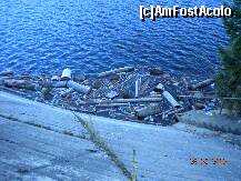 [P27] Putin gunoi, nu strica, asa-i? » foto by Alina Morar
 - 
<span class="allrVoted glyphicon glyphicon-heart hidden" id="av127062"></span>
<a class="m-l-10 hidden" id="sv127062" onclick="voting_Foto_DelVot(,127062,3018)" role="button">șterge vot <span class="glyphicon glyphicon-remove"></span></a>
<a id="v9127062" class=" c-red"  onclick="voting_Foto_SetVot(127062)" role="button"><span class="glyphicon glyphicon-heart-empty"></span> <b>LIKE</b> = Votează poza</a> <img class="hidden"  id="f127062W9" src="/imagini/loader.gif" border="0" /><span class="AjErrMes hidden" id="e127062ErM"></span>