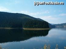 [P09] Vrei un peisaj pentru desktop, iata o insula pe lac ... » foto by dartax
 - 
<span class="allrVoted glyphicon glyphicon-heart hidden" id="av96769"></span>
<a class="m-l-10 hidden" id="sv96769" onclick="voting_Foto_DelVot(,96769,3018)" role="button">șterge vot <span class="glyphicon glyphicon-remove"></span></a>
<a id="v996769" class=" c-red"  onclick="voting_Foto_SetVot(96769)" role="button"><span class="glyphicon glyphicon-heart-empty"></span> <b>LIKE</b> = Votează poza</a> <img class="hidden"  id="f96769W9" src="/imagini/loader.gif" border="0" /><span class="AjErrMes hidden" id="e96769ErM"></span>