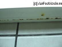 [P06] SI.... RUGINA TOT DE PATRU STELE » foto by Abdul
 - 
<span class="allrVoted glyphicon glyphicon-heart hidden" id="av13120"></span>
<a class="m-l-10 hidden" id="sv13120" onclick="voting_Foto_DelVot(,13120,3025)" role="button">șterge vot <span class="glyphicon glyphicon-remove"></span></a>
<a id="v913120" class=" c-red"  onclick="voting_Foto_SetVot(13120)" role="button"><span class="glyphicon glyphicon-heart-empty"></span> <b>LIKE</b> = Votează poza</a> <img class="hidden"  id="f13120W9" src="/imagini/loader.gif" border="0" /><span class="AjErrMes hidden" id="e13120ErM"></span>