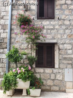 [P22] Omis, oraselul vechi » foto by LV
 - 
<span class="allrVoted glyphicon glyphicon-heart hidden" id="av1235105"></span>
<a class="m-l-10 hidden" id="sv1235105" onclick="voting_Foto_DelVot(,1235105,3029)" role="button">șterge vot <span class="glyphicon glyphicon-remove"></span></a>
<a id="v91235105" class=" c-red"  onclick="voting_Foto_SetVot(1235105)" role="button"><span class="glyphicon glyphicon-heart-empty"></span> <b>LIKE</b> = Votează poza</a> <img class="hidden"  id="f1235105W9" src="/imagini/loader.gif" border="0" /><span class="AjErrMes hidden" id="e1235105ErM"></span>