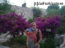 [P03] Bodrum-in cetate » foto by Marian Preda
 - 
<span class="allrVoted glyphicon glyphicon-heart hidden" id="av188671"></span>
<a class="m-l-10 hidden" id="sv188671" onclick="voting_Foto_DelVot(,188671,3030)" role="button">șterge vot <span class="glyphicon glyphicon-remove"></span></a>
<a id="v9188671" class=" c-red"  onclick="voting_Foto_SetVot(188671)" role="button"><span class="glyphicon glyphicon-heart-empty"></span> <b>LIKE</b> = Votează poza</a> <img class="hidden"  id="f188671W9" src="/imagini/loader.gif" border="0" /><span class="AjErrMes hidden" id="e188671ErM"></span>