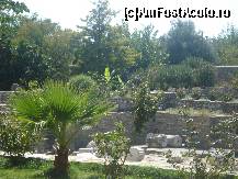 [P07] Ce a ramas din mormantul din Halicarnas, ceva pietre si o gradina bogata si frumoasa - Bodrum » foto by ileanaxperta*
 - 
<span class="allrVoted glyphicon glyphicon-heart hidden" id="av59861"></span>
<a class="m-l-10 hidden" id="sv59861" onclick="voting_Foto_DelVot(,59861,3030)" role="button">șterge vot <span class="glyphicon glyphicon-remove"></span></a>
<a id="v959861" class=" c-red"  onclick="voting_Foto_SetVot(59861)" role="button"><span class="glyphicon glyphicon-heart-empty"></span> <b>LIKE</b> = Votează poza</a> <img class="hidden"  id="f59861W9" src="/imagini/loader.gif" border="0" /><span class="AjErrMes hidden" id="e59861ErM"></span>