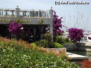 [P23] Una dintre cafenelele 'de fite' din portul Turgutreis » foto by irinad
 - 
<span class="allrVoted glyphicon glyphicon-heart hidden" id="av586279"></span>
<a class="m-l-10 hidden" id="sv586279" onclick="voting_Foto_DelVot(,586279,3030)" role="button">șterge vot <span class="glyphicon glyphicon-remove"></span></a>
<a id="v9586279" class=" c-red"  onclick="voting_Foto_SetVot(586279)" role="button"><span class="glyphicon glyphicon-heart-empty"></span> <b>LIKE</b> = Votează poza</a> <img class="hidden"  id="f586279W9" src="/imagini/loader.gif" border="0" /><span class="AjErrMes hidden" id="e586279ErM"></span>