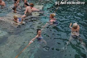 [P06] piscina cleopatrei » foto by ailynuka
 - 
<span class="allrVoted glyphicon glyphicon-heart hidden" id="av368908"></span>
<a class="m-l-10 hidden" id="sv368908" onclick="voting_Foto_DelVot(,368908,3039)" role="button">șterge vot <span class="glyphicon glyphicon-remove"></span></a>
<a id="v9368908" class=" c-red"  onclick="voting_Foto_SetVot(368908)" role="button"><span class="glyphicon glyphicon-heart-empty"></span> <b>LIKE</b> = Votează poza</a> <img class="hidden"  id="f368908W9" src="/imagini/loader.gif" border="0" /><span class="AjErrMes hidden" id="e368908ErM"></span>
