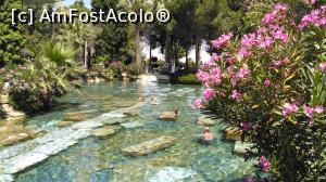 [P04] pe la piscina cleopatrei - legenda sau adevar?  » foto by papone
 - 
<span class="allrVoted glyphicon glyphicon-heart hidden" id="av753358"></span>
<a class="m-l-10 hidden" id="sv753358" onclick="voting_Foto_DelVot(,753358,3039)" role="button">șterge vot <span class="glyphicon glyphicon-remove"></span></a>
<a id="v9753358" class=" c-red"  onclick="voting_Foto_SetVot(753358)" role="button"><span class="glyphicon glyphicon-heart-empty"></span> <b>LIKE</b> = Votează poza</a> <img class="hidden"  id="f753358W9" src="/imagini/loader.gif" border="0" /><span class="AjErrMes hidden" id="e753358ErM"></span>
