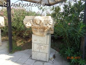 [P30] pisici turcesti la umbra colanei grecesti » foto by nrs †
 - 
<span class="allrVoted glyphicon glyphicon-heart hidden" id="av902315"></span>
<a class="m-l-10 hidden" id="sv902315" onclick="voting_Foto_DelVot(,902315,3039)" role="button">șterge vot <span class="glyphicon glyphicon-remove"></span></a>
<a id="v9902315" class=" c-red"  onclick="voting_Foto_SetVot(902315)" role="button"><span class="glyphicon glyphicon-heart-empty"></span> <b>LIKE</b> = Votează poza</a> <img class="hidden"  id="f902315W9" src="/imagini/loader.gif" border="0" /><span class="AjErrMes hidden" id="e902315ErM"></span>