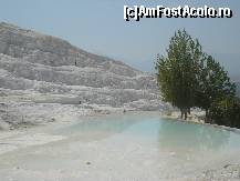 [P23] Pamukkale cel alb, cu ochiul azuriu de apa...dar si un copacel verde spre poalele dealului » foto by ileanaxperta*
 - 
<span class="allrVoted glyphicon glyphicon-heart hidden" id="av56826"></span>
<a class="m-l-10 hidden" id="sv56826" onclick="voting_Foto_DelVot(,56826,3039)" role="button">șterge vot <span class="glyphicon glyphicon-remove"></span></a>
<a id="v956826" class=" c-red"  onclick="voting_Foto_SetVot(56826)" role="button"><span class="glyphicon glyphicon-heart-empty"></span> <b>LIKE</b> = Votează poza</a> <img class="hidden"  id="f56826W9" src="/imagini/loader.gif" border="0" /><span class="AjErrMes hidden" id="e56826ErM"></span>