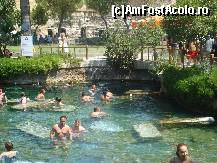 [P27] Pamukkale, la piscina Cleopatrei, printre coloane si ruine pierdute in timp... » foto by ileanaxperta*
 - 
<span class="allrVoted glyphicon glyphicon-heart hidden" id="av56830"></span>
<a class="m-l-10 hidden" id="sv56830" onclick="voting_Foto_DelVot(,56830,3039)" role="button">șterge vot <span class="glyphicon glyphicon-remove"></span></a>
<a id="v956830" class=" c-red"  onclick="voting_Foto_SetVot(56830)" role="button"><span class="glyphicon glyphicon-heart-empty"></span> <b>LIKE</b> = Votează poza</a> <img class="hidden"  id="f56830W9" src="/imagini/loader.gif" border="0" /><span class="AjErrMes hidden" id="e56830ErM"></span>
