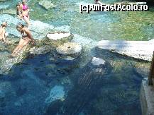 [P29] Pamukkale, piscina Cleopatrei, unde se vad clar coloanele scufundate si alte pietre ale constructiei antice » foto by ileanaxperta*
 - 
<span class="allrVoted glyphicon glyphicon-heart hidden" id="av56832"></span>
<a class="m-l-10 hidden" id="sv56832" onclick="voting_Foto_DelVot(,56832,3039)" role="button">șterge vot <span class="glyphicon glyphicon-remove"></span></a>
<a id="v956832" class=" c-red"  onclick="voting_Foto_SetVot(56832)" role="button"><span class="glyphicon glyphicon-heart-empty"></span> <b>LIKE</b> = Votează poza</a> <img class="hidden"  id="f56832W9" src="/imagini/loader.gif" border="0" /><span class="AjErrMes hidden" id="e56832ErM"></span>