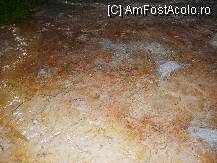 [P21] Si inca o poza cu ciudateniile naturii ce le puteam intalni numai la Pamukkale » foto by dananecula*
 - 
<span class="allrVoted glyphicon glyphicon-heart hidden" id="av57700"></span>
<a class="m-l-10 hidden" id="sv57700" onclick="voting_Foto_DelVot(,57700,3039)" role="button">șterge vot <span class="glyphicon glyphicon-remove"></span></a>
<a id="v957700" class=" c-red"  onclick="voting_Foto_SetVot(57700)" role="button"><span class="glyphicon glyphicon-heart-empty"></span> <b>LIKE</b> = Votează poza</a> <img class="hidden"  id="f57700W9" src="/imagini/loader.gif" border="0" /><span class="AjErrMes hidden" id="e57700ErM"></span>