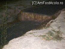 [P22] Santurile sapate in stanca de apa ce curgea linistita la vale » foto by dananecula*
 - 
<span class="allrVoted glyphicon glyphicon-heart hidden" id="av57701"></span>
<a class="m-l-10 hidden" id="sv57701" onclick="voting_Foto_DelVot(,57701,3039)" role="button">șterge vot <span class="glyphicon glyphicon-remove"></span></a>
<a id="v957701" class=" c-red"  onclick="voting_Foto_SetVot(57701)" role="button"><span class="glyphicon glyphicon-heart-empty"></span> <b>LIKE</b> = Votează poza</a> <img class="hidden"  id="f57701W9" src="/imagini/loader.gif" border="0" /><span class="AjErrMes hidden" id="e57701ErM"></span>