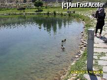 [P26] ratuste pe lac » foto by adryana
 - 
<span class="allrVoted glyphicon glyphicon-heart hidden" id="av224210"></span>
<a class="m-l-10 hidden" id="sv224210" onclick="voting_Foto_DelVot(,224210,3039)" role="button">șterge vot <span class="glyphicon glyphicon-remove"></span></a>
<a id="v9224210" class=" c-red"  onclick="voting_Foto_SetVot(224210)" role="button"><span class="glyphicon glyphicon-heart-empty"></span> <b>LIKE</b> = Votează poza</a> <img class="hidden"  id="f224210W9" src="/imagini/loader.gif" border="0" /><span class="AjErrMes hidden" id="e224210ErM"></span>