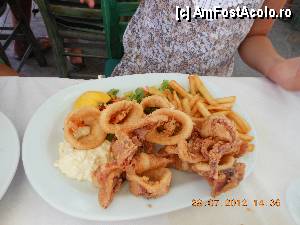 [P41] Taverna Irene din Potos - calamar prajit » foto by benescu75
 - 
<span class="allrVoted glyphicon glyphicon-heart hidden" id="av358217"></span>
<a class="m-l-10 hidden" id="sv358217" onclick="voting_Foto_DelVot(,358217,3050)" role="button">șterge vot <span class="glyphicon glyphicon-remove"></span></a>
<a id="v9358217" class=" c-red"  onclick="voting_Foto_SetVot(358217)" role="button"><span class="glyphicon glyphicon-heart-empty"></span> <b>LIKE</b> = Votează poza</a> <img class="hidden"  id="f358217W9" src="/imagini/loader.gif" border="0" /><span class="AjErrMes hidden" id="e358217ErM"></span>