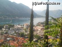 [P38] Kotor » foto by irina2005
 - 
<span class="allrVoted glyphicon glyphicon-heart hidden" id="av461437"></span>
<a class="m-l-10 hidden" id="sv461437" onclick="voting_Foto_DelVot(,461437,3055)" role="button">șterge vot <span class="glyphicon glyphicon-remove"></span></a>
<a id="v9461437" class=" c-red"  onclick="voting_Foto_SetVot(461437)" role="button"><span class="glyphicon glyphicon-heart-empty"></span> <b>LIKE</b> = Votează poza</a> <img class="hidden"  id="f461437W9" src="/imagini/loader.gif" border="0" /><span class="AjErrMes hidden" id="e461437ErM"></span>