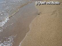 [P15] Cam asa arata nisipul , nu-mi vine sa cred ca e pe insula Corfu » foto by ionescunic
 - 
<span class="allrVoted glyphicon glyphicon-heart hidden" id="av132735"></span>
<a class="m-l-10 hidden" id="sv132735" onclick="voting_Foto_DelVot(,132735,3056)" role="button">șterge vot <span class="glyphicon glyphicon-remove"></span></a>
<a id="v9132735" class=" c-red"  onclick="voting_Foto_SetVot(132735)" role="button"><span class="glyphicon glyphicon-heart-empty"></span> <b>LIKE</b> = Votează poza</a> <img class="hidden"  id="f132735W9" src="/imagini/loader.gif" border="0" /><span class="AjErrMes hidden" id="e132735ErM"></span>