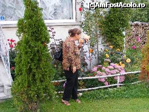 [P16] Gradina pensiunii, plina de flori si arbusti » foto by liviu49
 - 
<span class="allrVoted glyphicon glyphicon-heart hidden" id="av700093"></span>
<a class="m-l-10 hidden" id="sv700093" onclick="voting_Foto_DelVot(,700093,3074)" role="button">șterge vot <span class="glyphicon glyphicon-remove"></span></a>
<a id="v9700093" class=" c-red"  onclick="voting_Foto_SetVot(700093)" role="button"><span class="glyphicon glyphicon-heart-empty"></span> <b>LIKE</b> = Votează poza</a> <img class="hidden"  id="f700093W9" src="/imagini/loader.gif" border="0" /><span class="AjErrMes hidden" id="e700093ErM"></span>