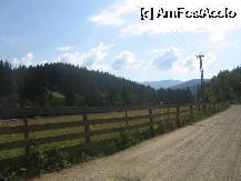 [P05]  -- <small>// FĂRĂ DESCRIERE</small> » foto by i2000
 - 
<span class="allrVoted glyphicon glyphicon-heart hidden" id="av13874"></span>
<a class="m-l-10 hidden" id="sv13874" onclick="voting_Foto_DelVot(,13874,3086)" role="button">șterge vot <span class="glyphicon glyphicon-remove"></span></a>
<a id="v913874" class=" c-red"  onclick="voting_Foto_SetVot(13874)" role="button"><span class="glyphicon glyphicon-heart-empty"></span> <b>LIKE</b> = Votează poza</a> <img class="hidden"  id="f13874W9" src="/imagini/loader.gif" border="0" /><span class="AjErrMes hidden" id="e13874ErM"></span>