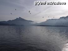 [P07] Alpii vazuti de la lacul Mondsee. » foto by monicutza
 - 
<span class="allrVoted glyphicon glyphicon-heart hidden" id="av36945"></span>
<a class="m-l-10 hidden" id="sv36945" onclick="voting_Foto_DelVot(,36945,3095)" role="button">șterge vot <span class="glyphicon glyphicon-remove"></span></a>
<a id="v936945" class=" c-red"  onclick="voting_Foto_SetVot(36945)" role="button"><span class="glyphicon glyphicon-heart-empty"></span> <b>LIKE</b> = Votează poza</a> <img class="hidden"  id="f36945W9" src="/imagini/loader.gif" border="0" /><span class="AjErrMes hidden" id="e36945ErM"></span>
