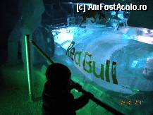 [P40]  -- <small>// FĂRĂ DESCRIERE</small> » foto by Alina Morar
 - 
<span class="allrVoted glyphicon glyphicon-heart hidden" id="av281175"></span>
<a class="m-l-10 hidden" id="sv281175" onclick="voting_Foto_DelVot(,281175,3095)" role="button">șterge vot <span class="glyphicon glyphicon-remove"></span></a>
<a id="v9281175" class=" c-red"  onclick="voting_Foto_SetVot(281175)" role="button"><span class="glyphicon glyphicon-heart-empty"></span> <b>LIKE</b> = Votează poza</a> <img class="hidden"  id="f281175W9" src="/imagini/loader.gif" border="0" /><span class="AjErrMes hidden" id="e281175ErM"></span>