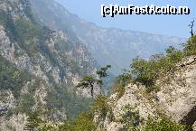 [P04] Valea Tarei inspre Bosnia » foto by sigcristina
 - 
<span class="allrVoted glyphicon glyphicon-heart hidden" id="av362056"></span>
<a class="m-l-10 hidden" id="sv362056" onclick="voting_Foto_DelVot(,362056,3106)" role="button">șterge vot <span class="glyphicon glyphicon-remove"></span></a>
<a id="v9362056" class=" c-red"  onclick="voting_Foto_SetVot(362056)" role="button"><span class="glyphicon glyphicon-heart-empty"></span> <b>LIKE</b> = Votează poza</a> <img class="hidden"  id="f362056W9" src="/imagini/loader.gif" border="0" /><span class="AjErrMes hidden" id="e362056ErM"></span>